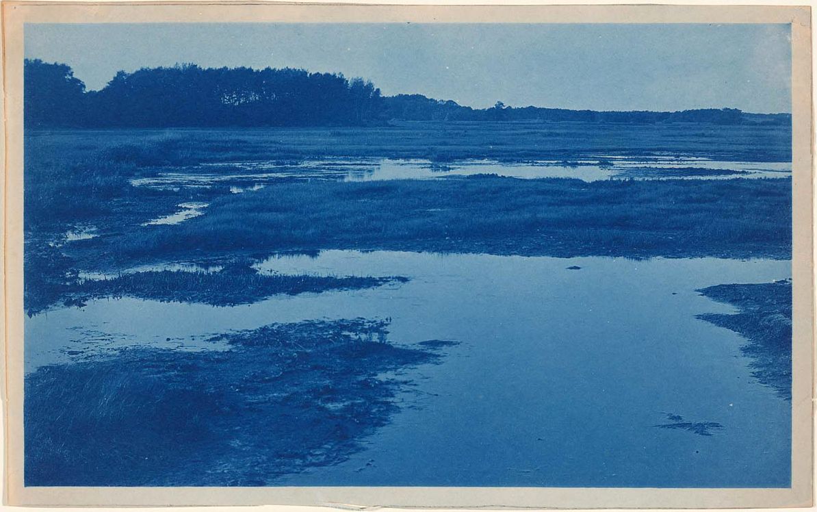 Paisagem serena de terra e água em cianótipo azul
