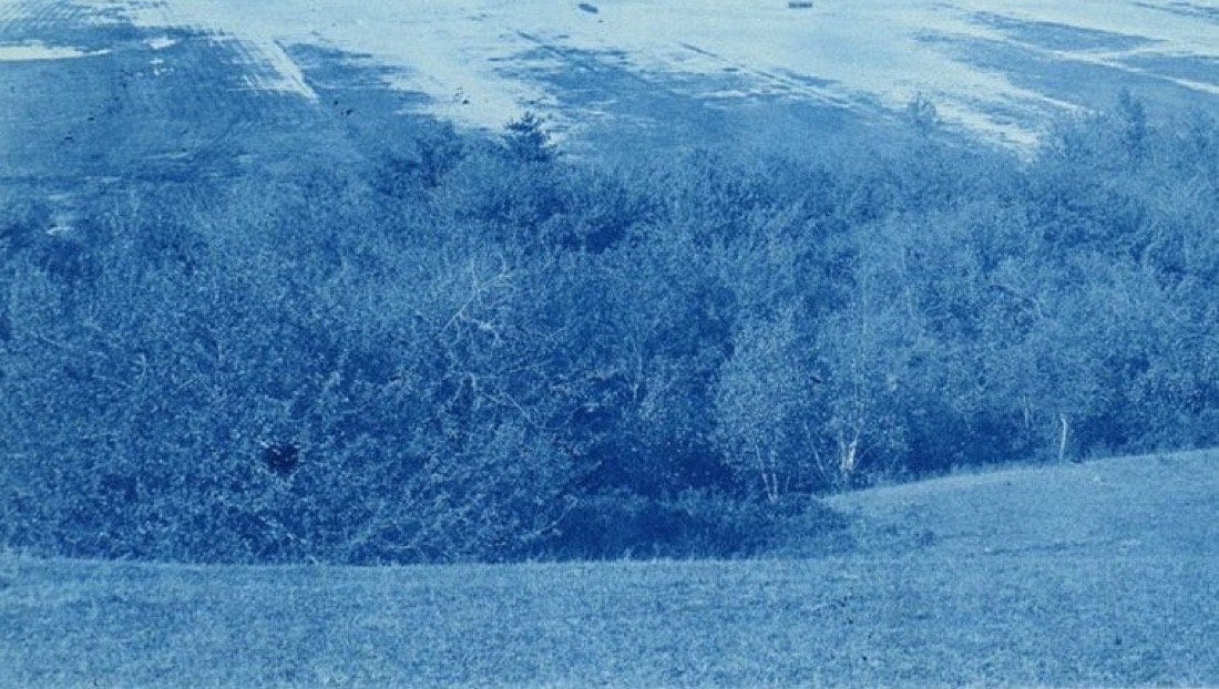 Cianótipo azul de uma faixa de mata entre o pasto em primeiro plano e os campos cultivados ao fundo