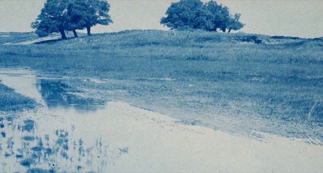 Cianótipo azul de um grupo de árvores na crista de uma colina, com um curso de água ao pé do campo